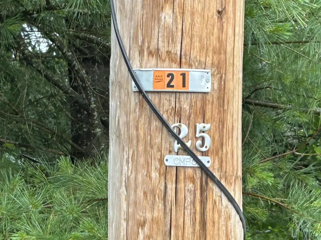 Picture 5