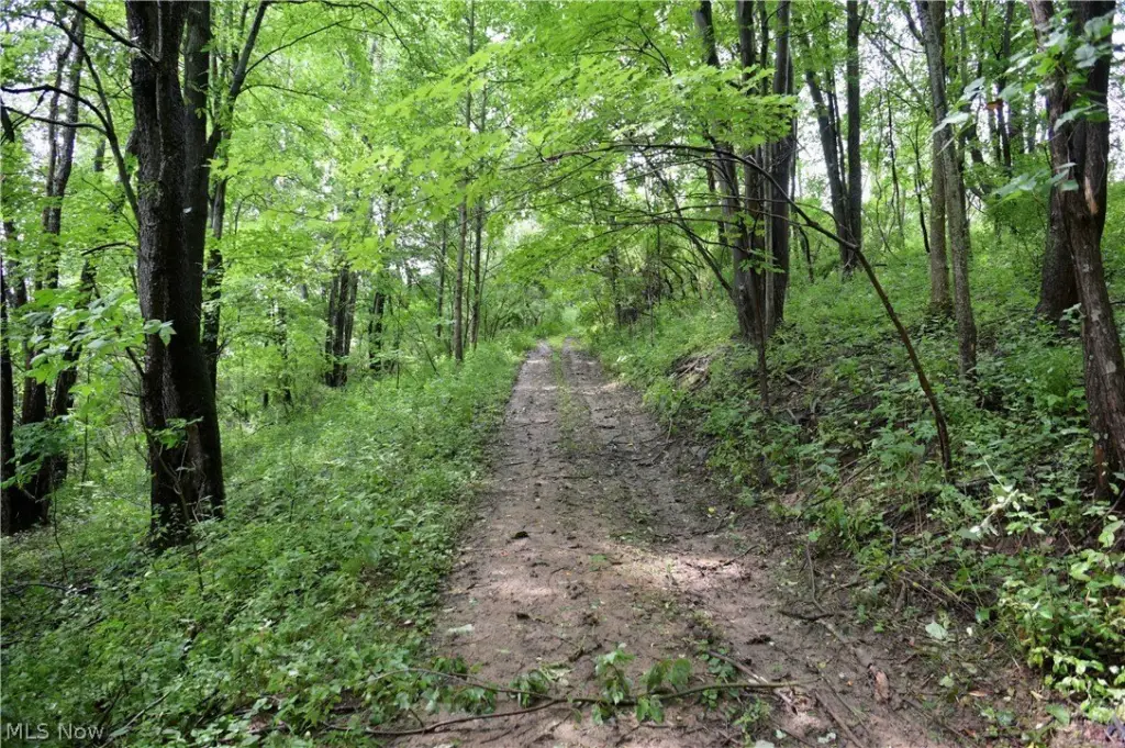 Picture 19