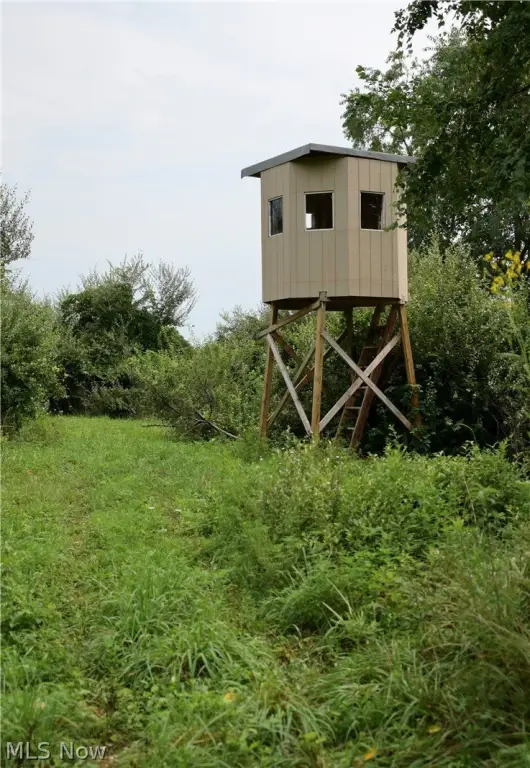 Picture 26
