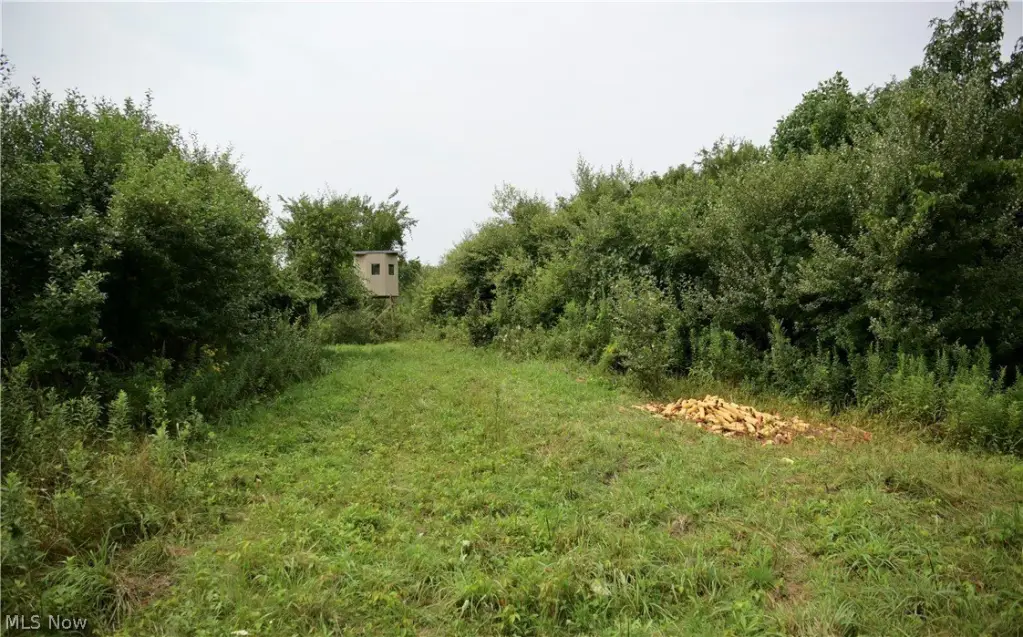 Picture 28