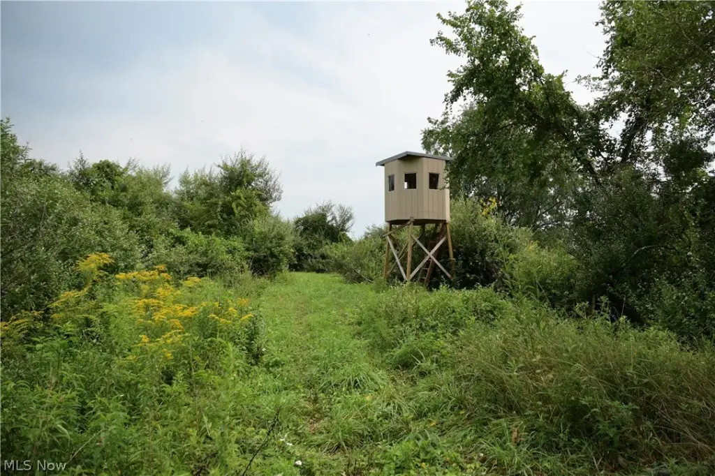 Picture 25