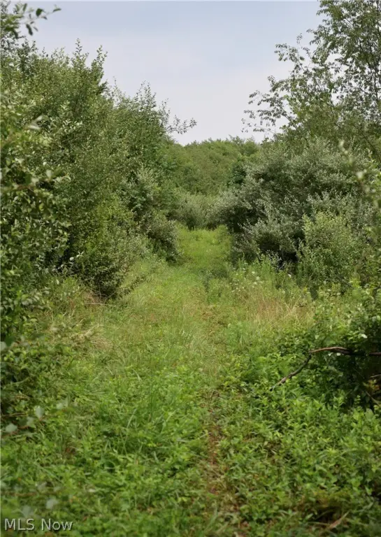 Picture 22