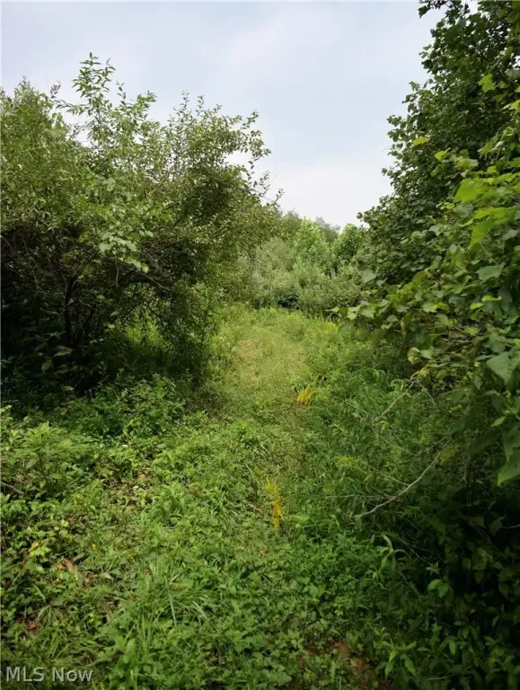 Picture 21