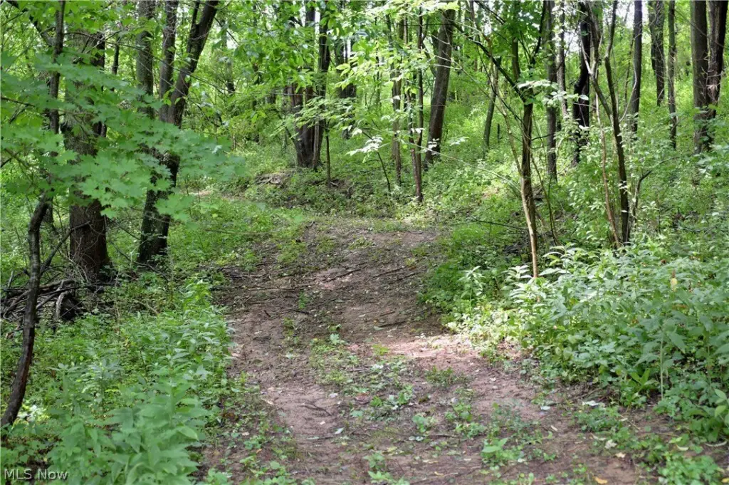 Picture 18