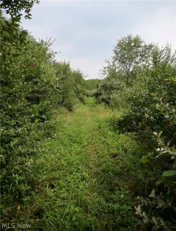 Picture 23