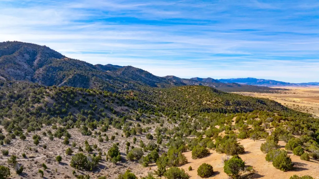 Picture 140