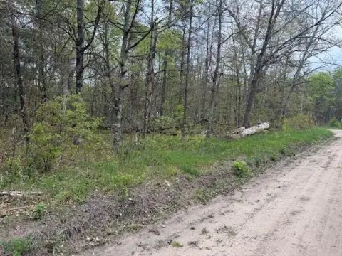 Land in Historic Idlewild, MI