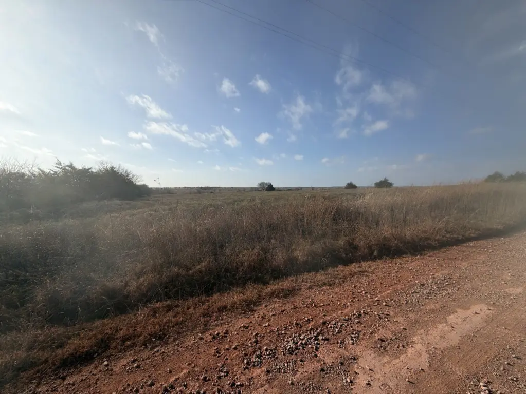 Picture 31