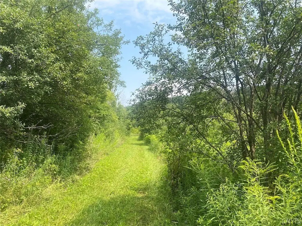 Picture 17