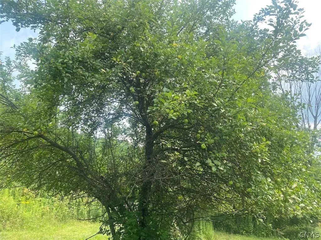 Picture 18