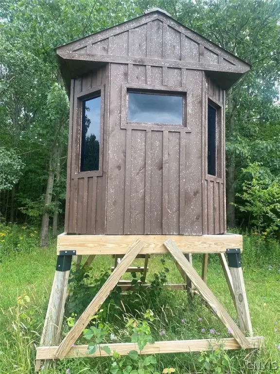 Picture 21