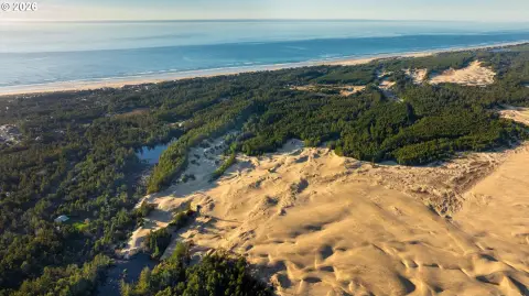 Coastal Dune and Forest Land