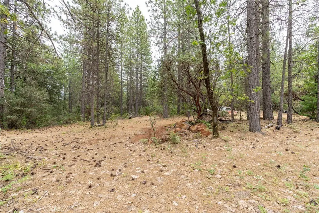 Picture 33