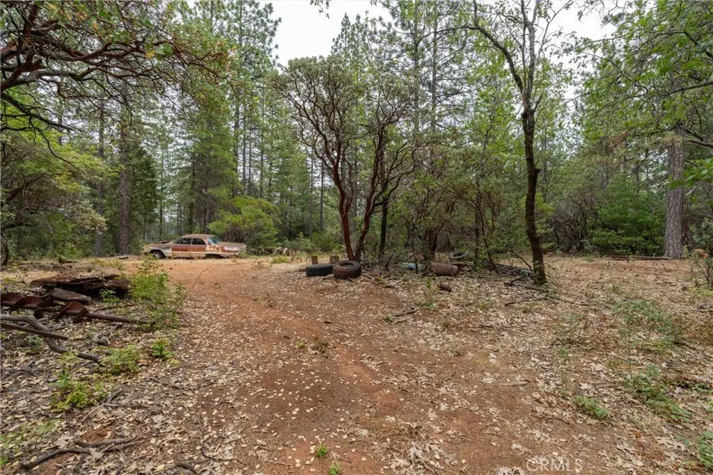 Picture 35