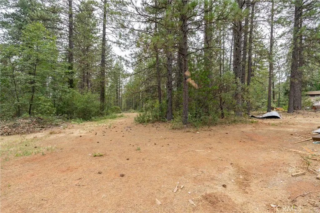 Picture 36