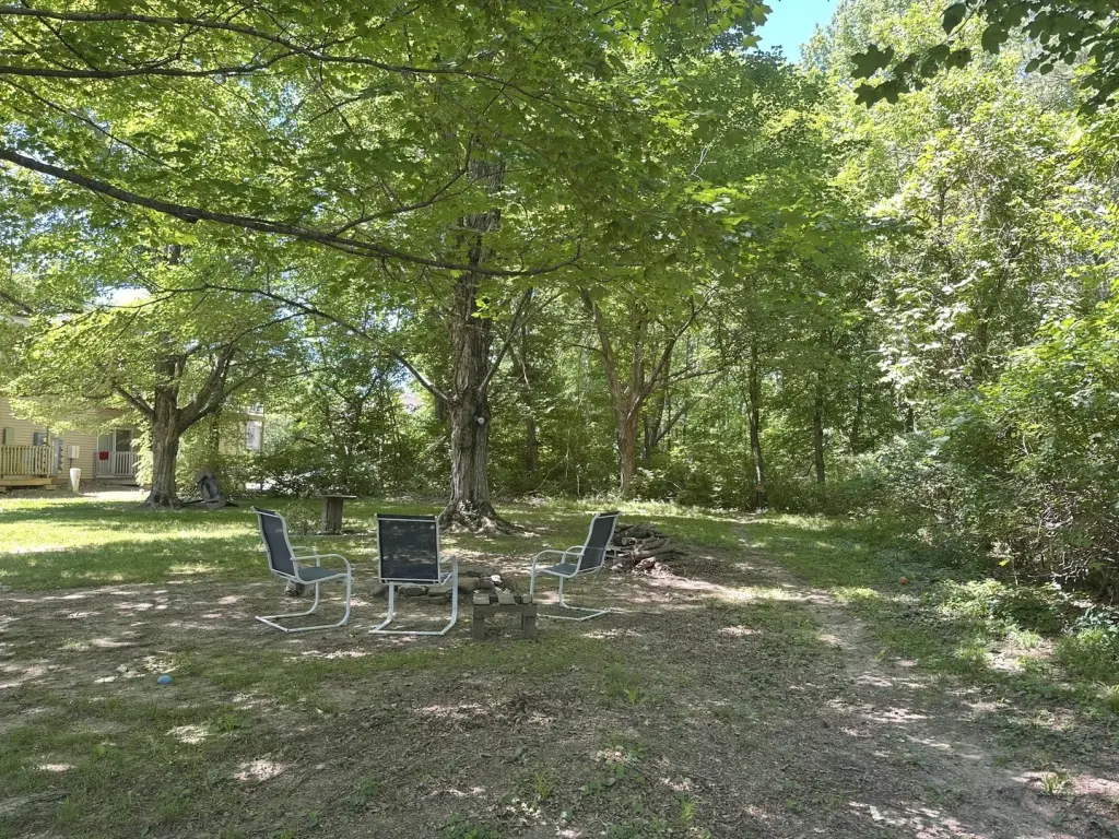 Picture 19
