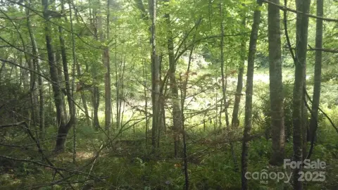 Versatile Land Near Blue Ridge Parkway