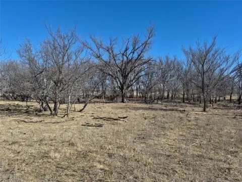 109.87 Acres Unimproved Land, Graham