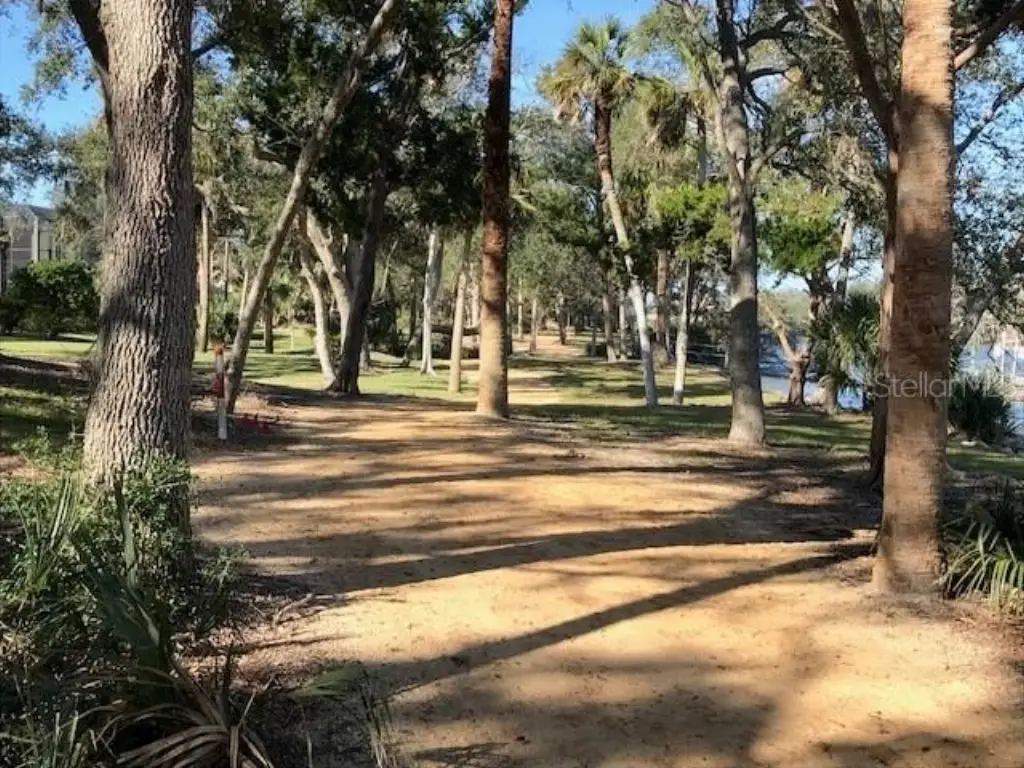 Picture 28