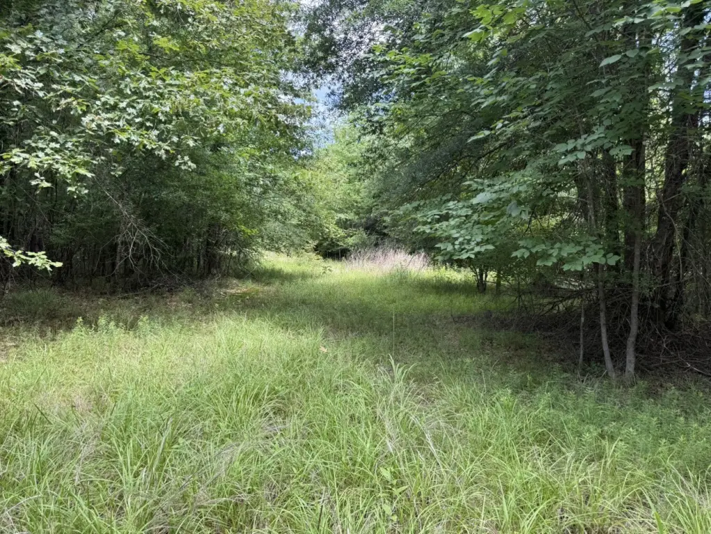 Picture 10