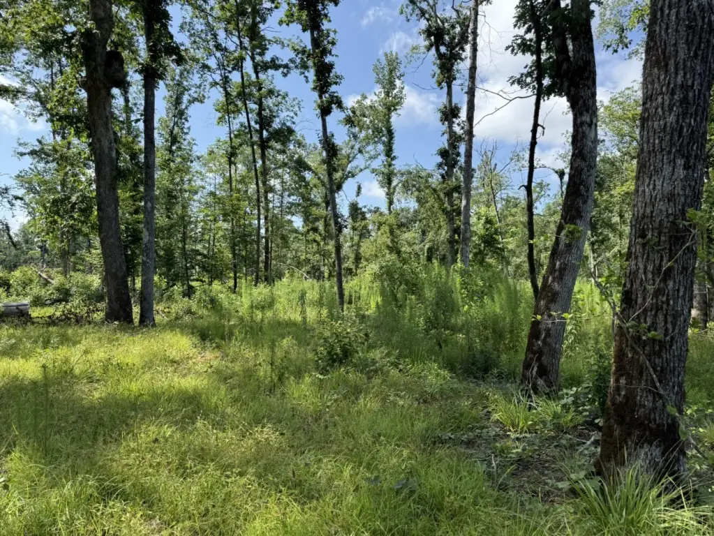 Picture 17