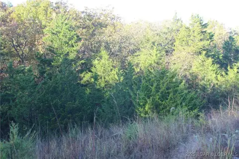 Ozarks Land with Community Perks