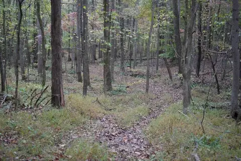 Prime Hunting Retreat on 72 Acres