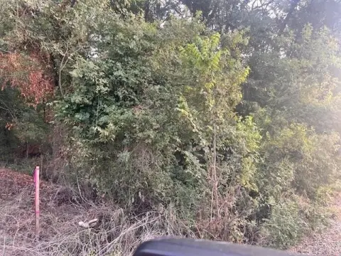 DeWitt Timber Acreage Opportunity