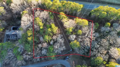Wooded Lots in Sylacauga Location
