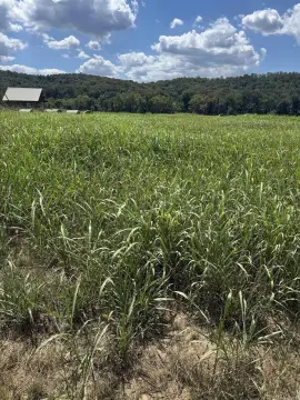 Residential Lot Near White River