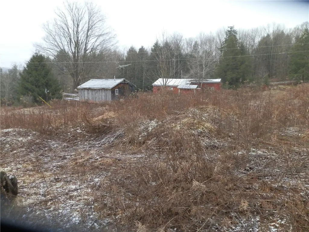Picture 25