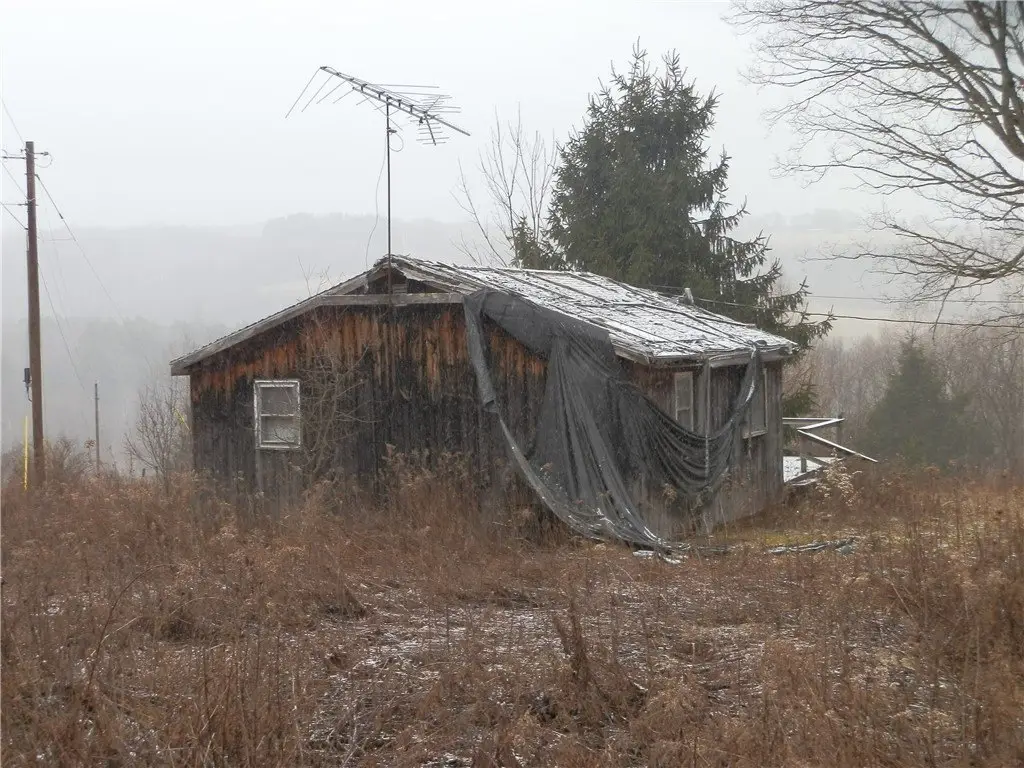 Picture 28