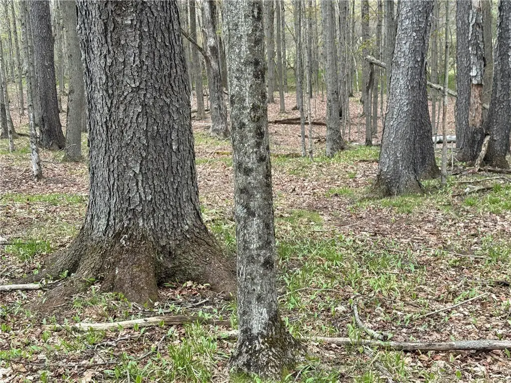 Picture 24