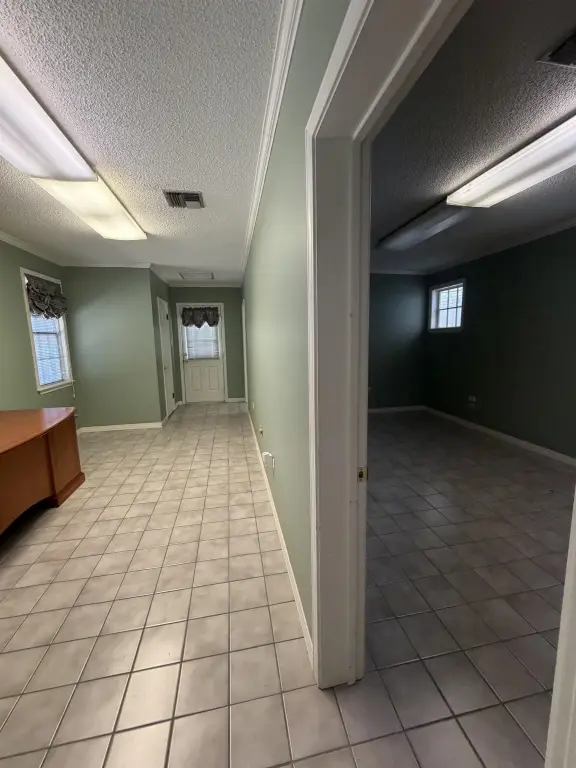 Picture 24