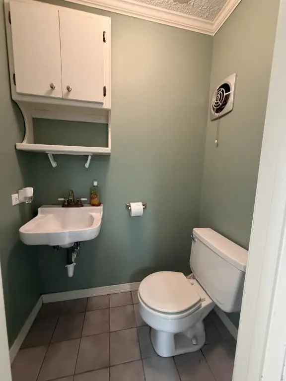 Picture 27