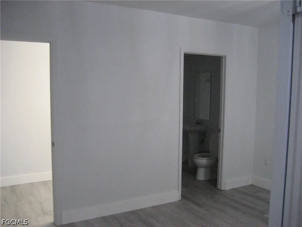 Picture 7