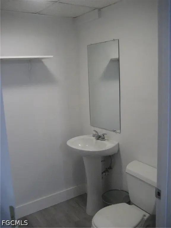 Picture 8