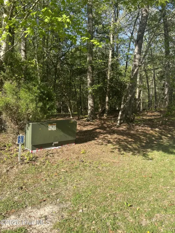 Picture 3