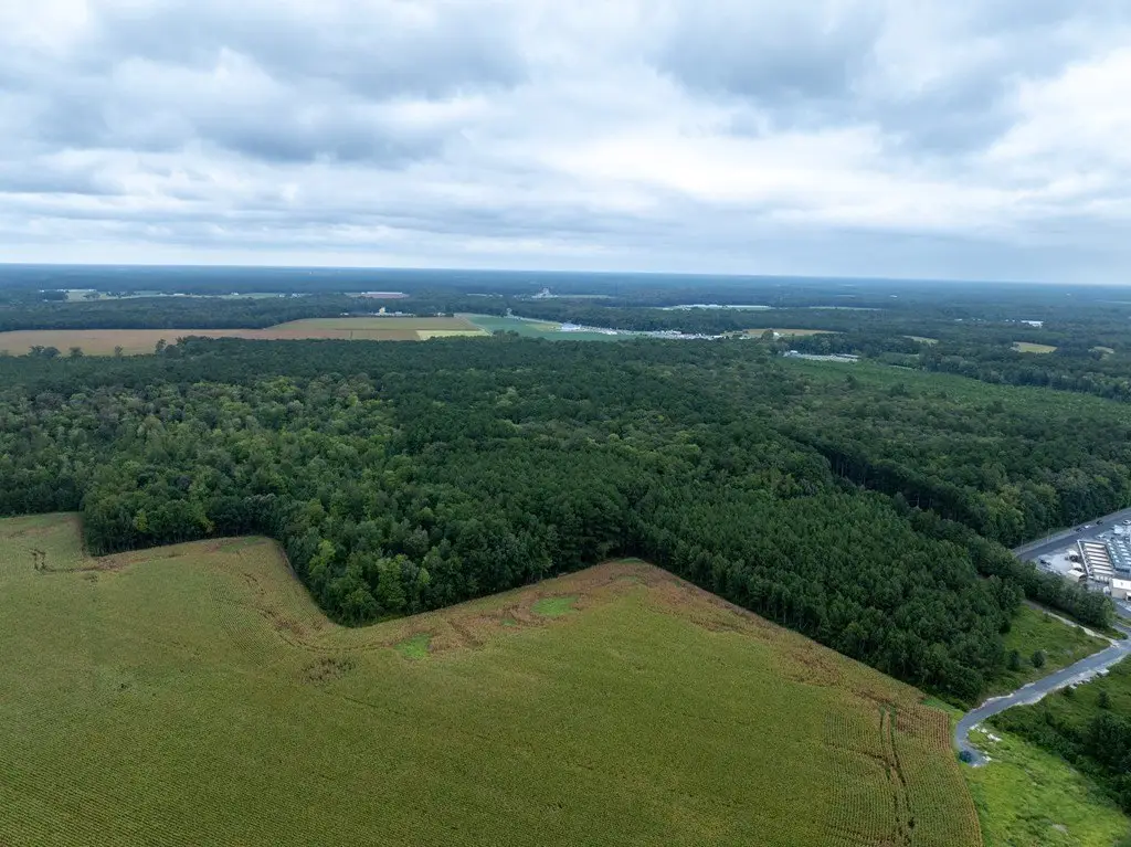 Picture 13