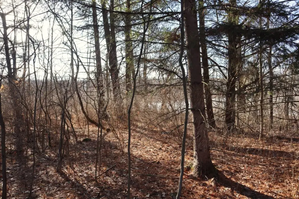 Picture 4