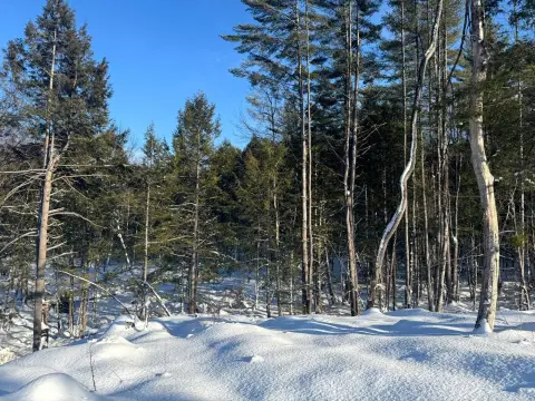 Scenic Wooded Land Near Recreation