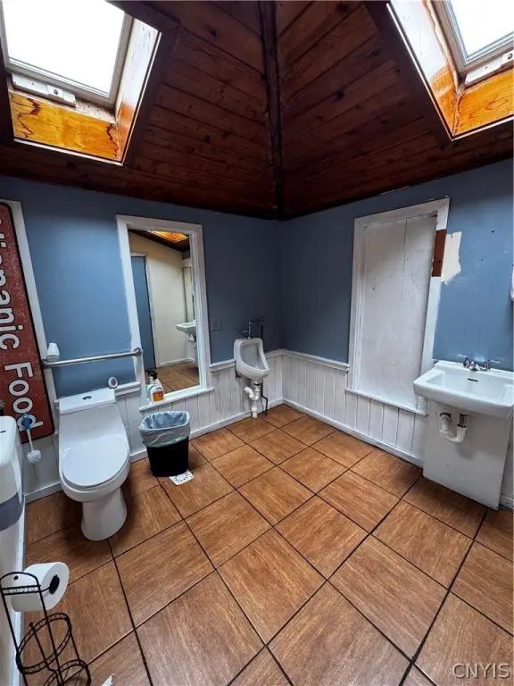 Picture 21