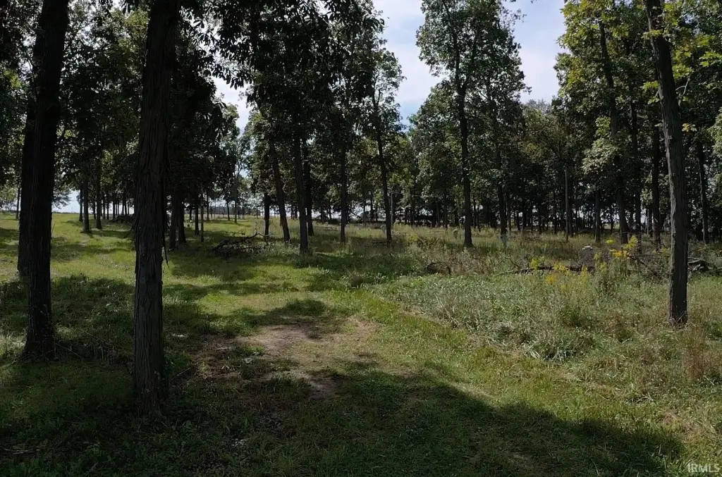 Picture 8