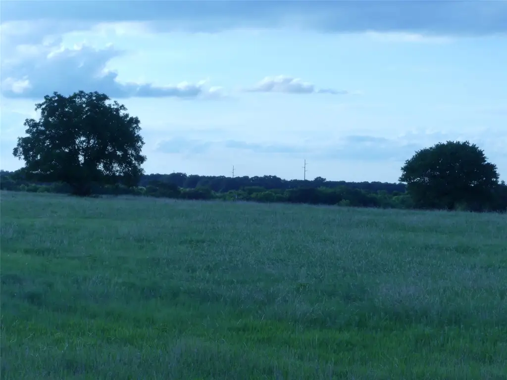Picture 36