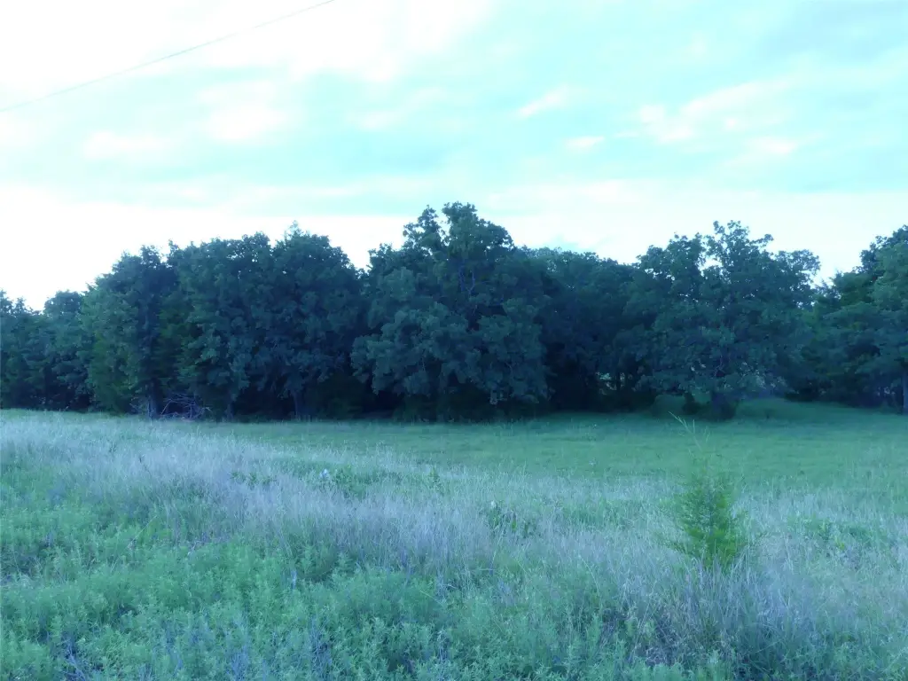 Picture 39