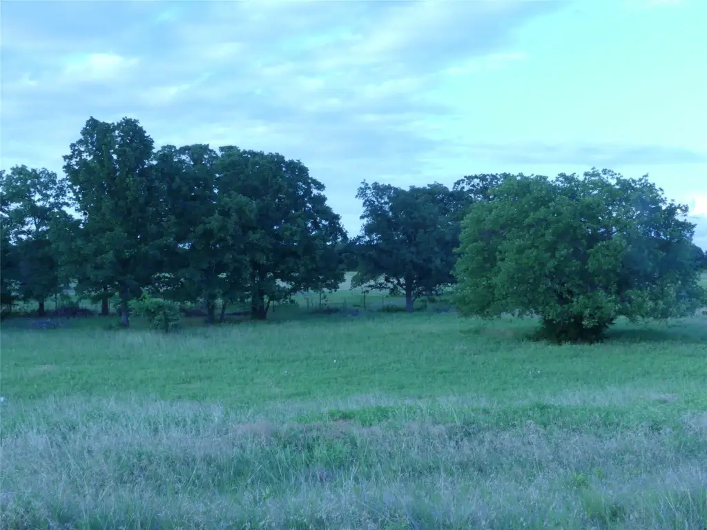 Picture 38