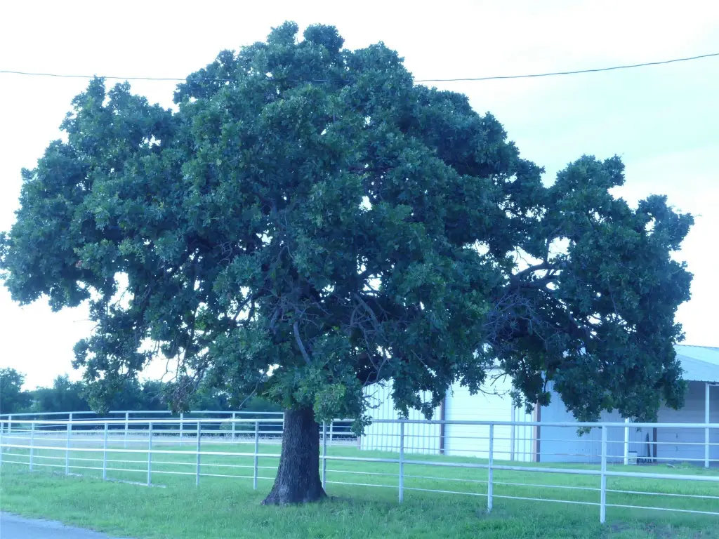 Picture 30