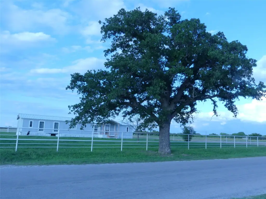 Picture 29