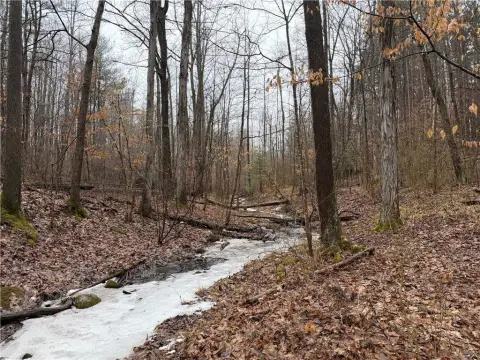 Secluded Land Near Seneca Lake