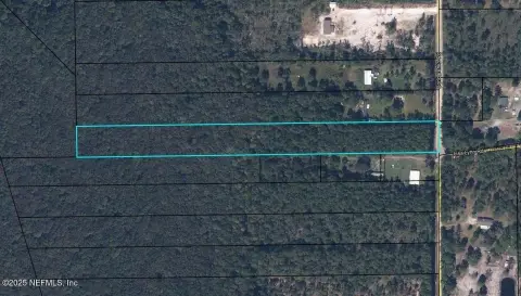 Keystone Heights Wooded Land Parcel